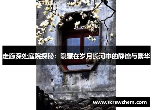 走廊深处庭院探秘：隐藏在岁月长河中的静谧与繁华