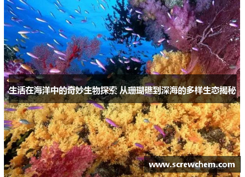 生活在海洋中的奇妙生物探索 从珊瑚礁到深海的多样生态揭秘
